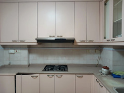 Dover Parkview (D5), Condominium #589192161